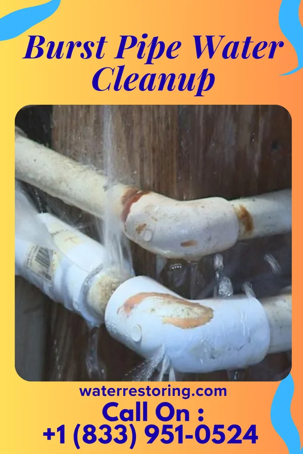 Burst Pipe Water Cleanup in Mount Airy, NC