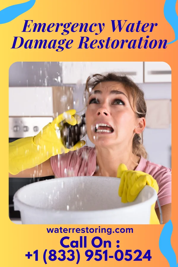 Emergency Water Damage Restoration in Mount Airy, NC
