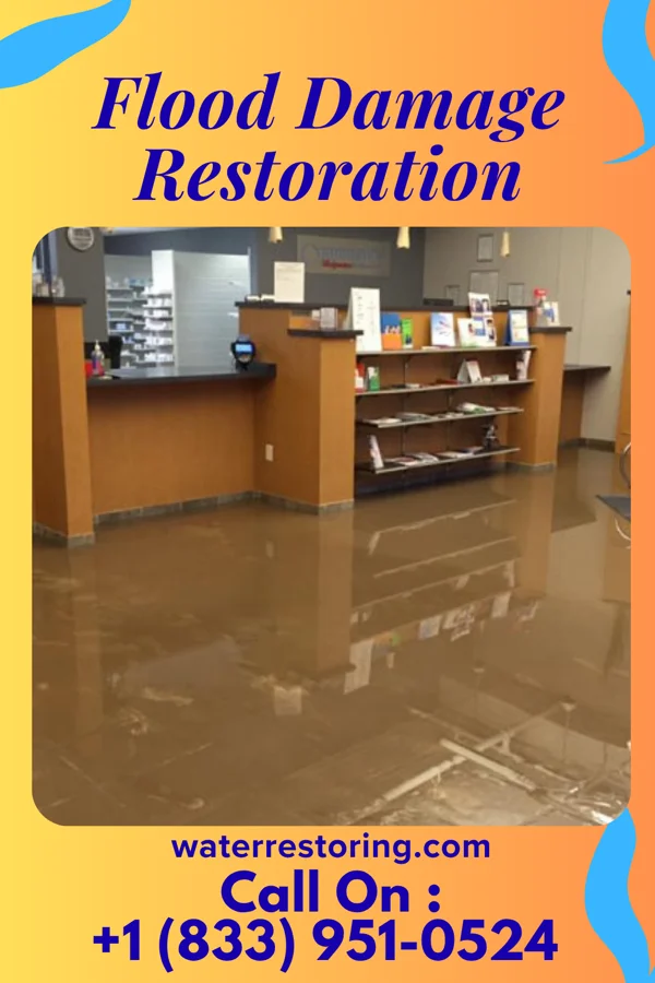 Flood Damage Restoration in Mount Airy, NC