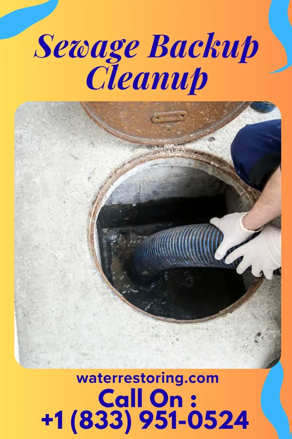 Sewage Backup Cleanup in Mount Airy, NC
